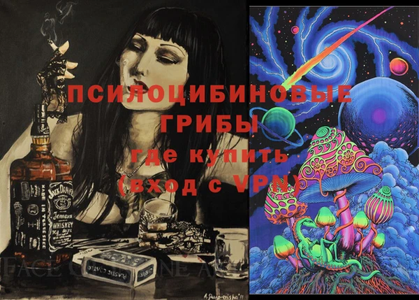 гидропоника Богданович