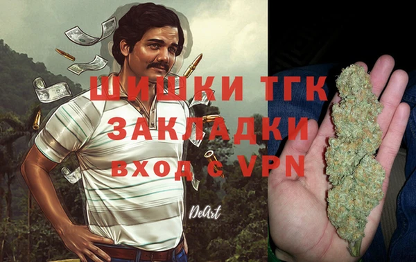 гидропоника Богданович