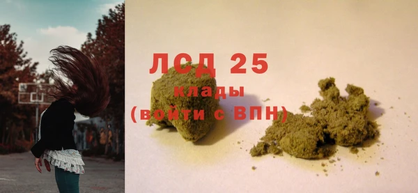 дживик Богородицк
