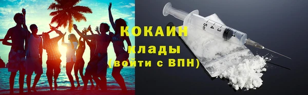 дживик Богородицк