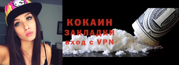 дживик Богородицк