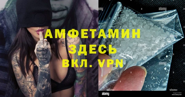 дживик Богородицк