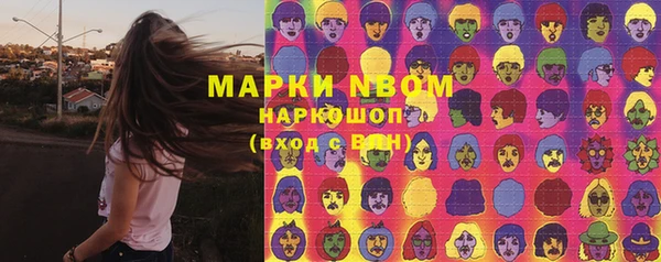 дживик Богородицк