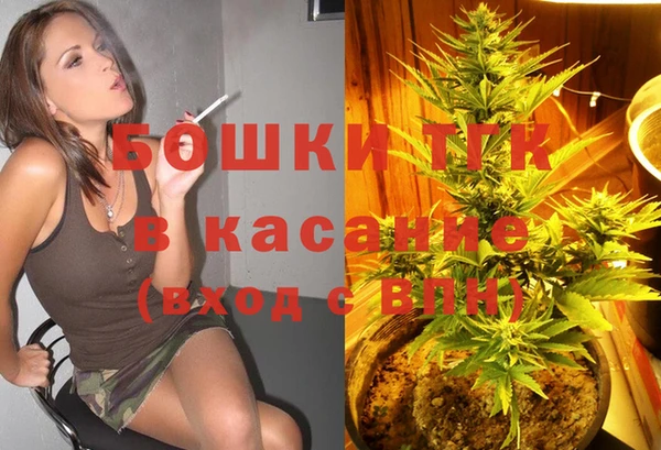 дживик Богородицк