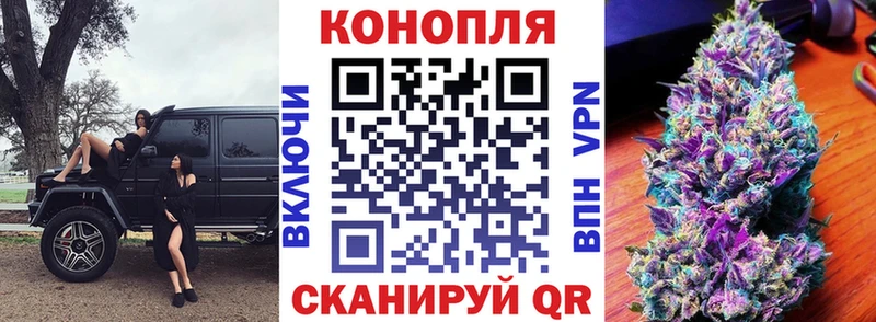 Конопля OG Kush  Купить где  Железногорск-Илимский 